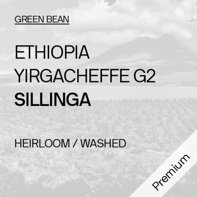 [생두_프리미엄] 에티오피아 예가체프 G2 실링가