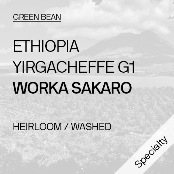 [생두_스페셜티] 에티오피아 예가체프 G1 워르카사카로 워시드